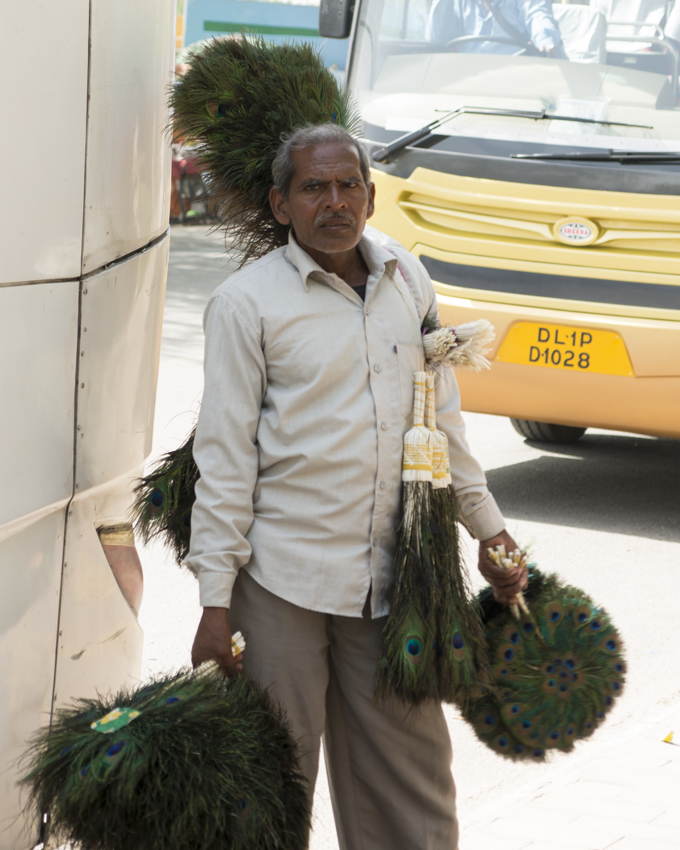 anthonylujan-lotustemple-india-emergingom-37