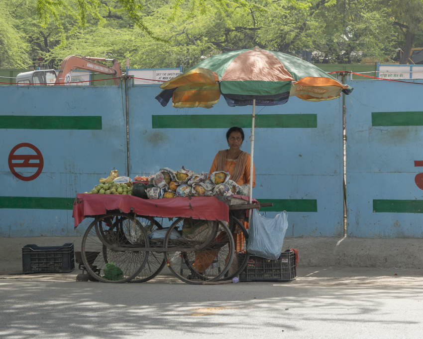 anthonylujan-lotustemple-india-emergingom-39