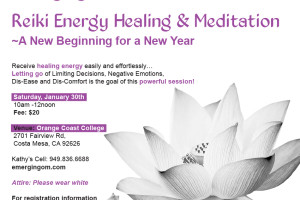 Reiki Energy Healing and Meditation Jan 30th at OCC